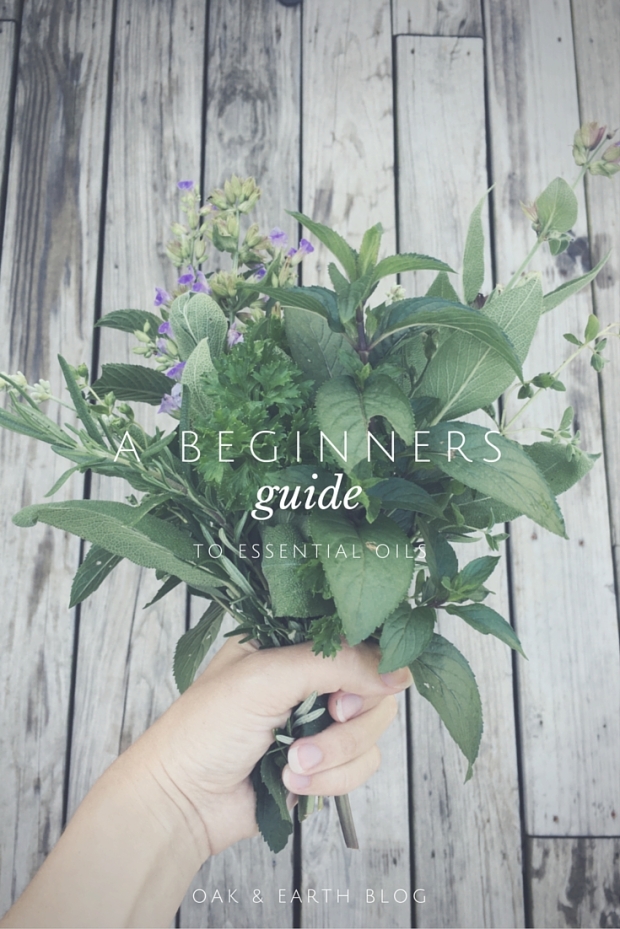 A Beginners Guide To-
